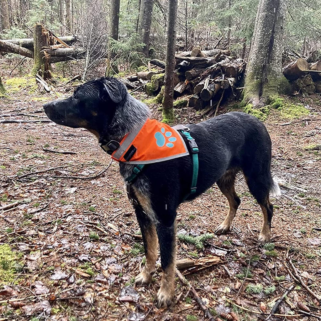 Large Hi-Vis Orange Reflective Dog Bandana Ravli