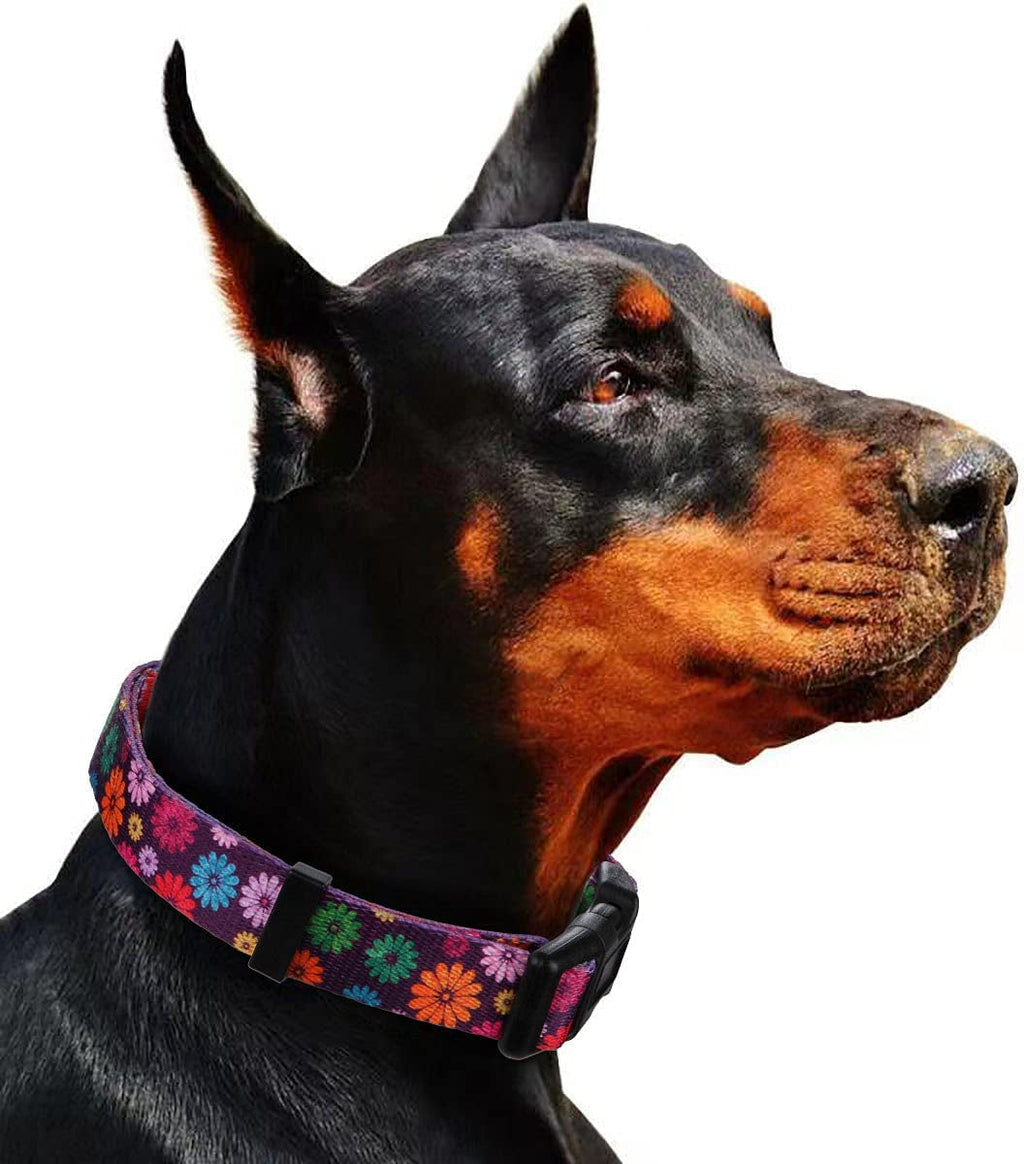 Floral Dog Collar Large