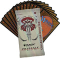 Magic The Gathering - Phyrexia All WiIl Be One Collector's Booster Pack